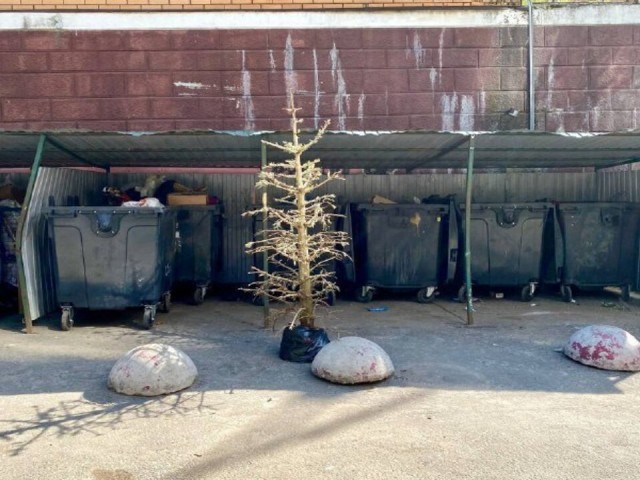 Дзержинец наконец-то решился в мае выкинуть елку: жители делятся в сетях фото новогоднего дерева
