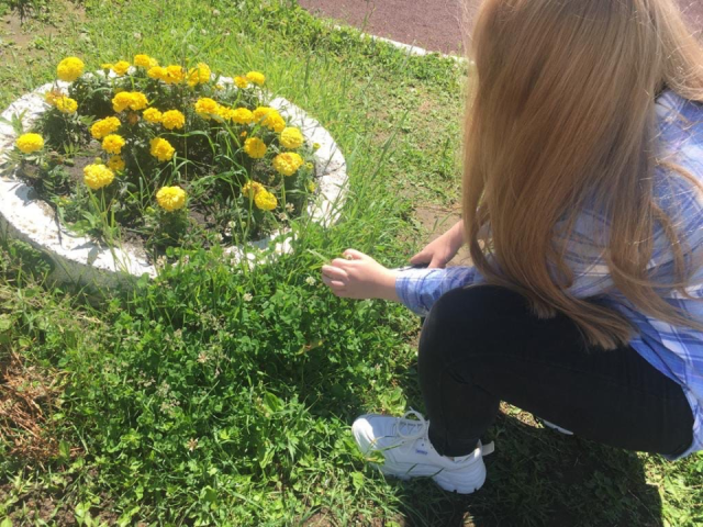 Несовершеннолетним в Чехове доверят уборку, уход за памятниками и другие несложные работы