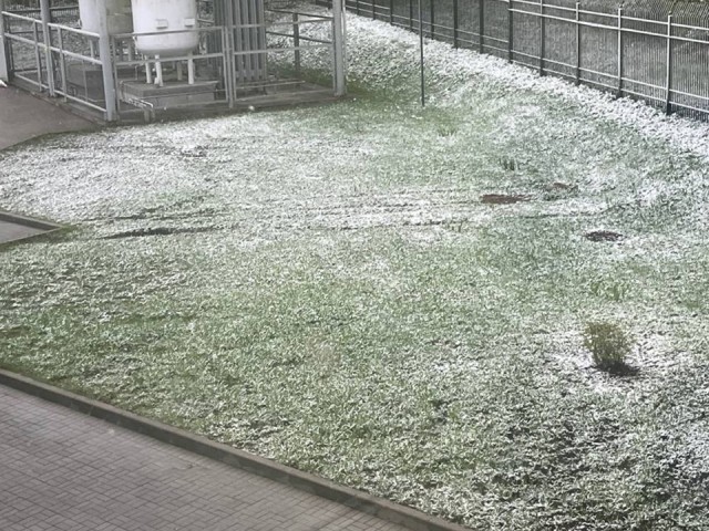 В Солнечногорске выпал майский снег