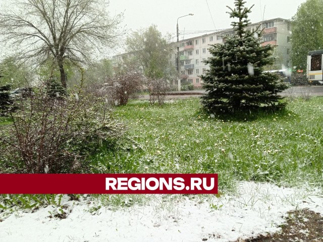В Егорьевске пришла майская зима