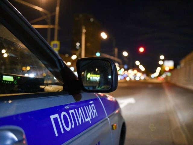 В Орехово-Зуеве полицейские по горячим следам задержали грабителей