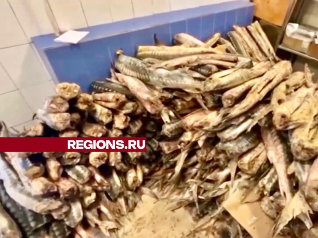 Четыре тонны замороженного осетра изъяли в Балашихе сотрудники ФСБ