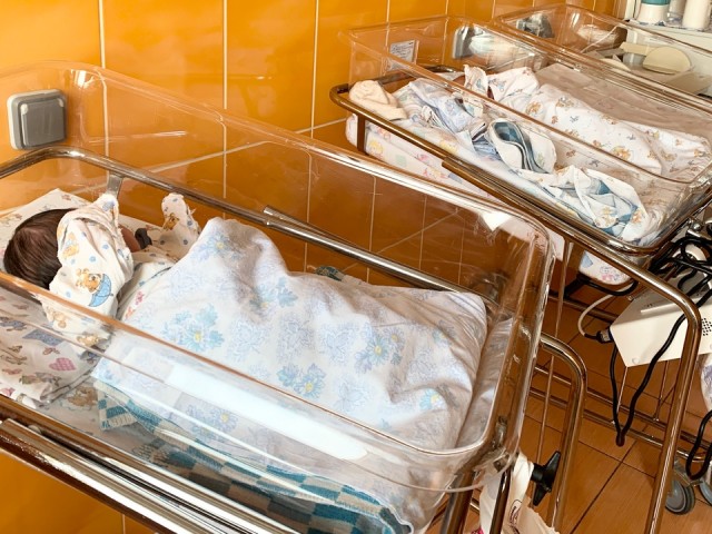 Иван да Марья: более 200 детей родилось в Мытищах в апреле