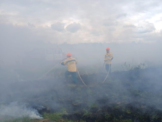 Пожарные и лесники Талдома потушили опасное пламя, которое угрожало жизням людей