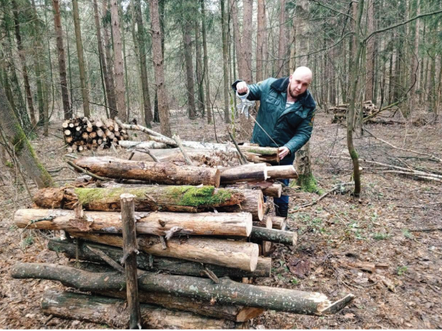 Звенигородский лес очистили от сухостоя и поваленных деревьев