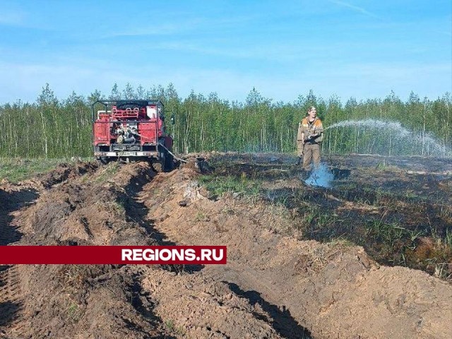 Лесной пожар ликвидировали близ луховицкой деревни Моховое