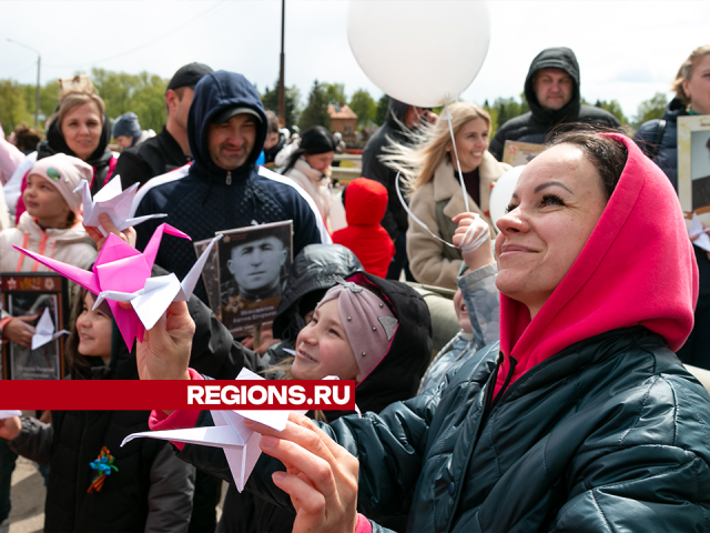 Сотни журавликов в память о погибших солдатах запустили на акции в Зарайске