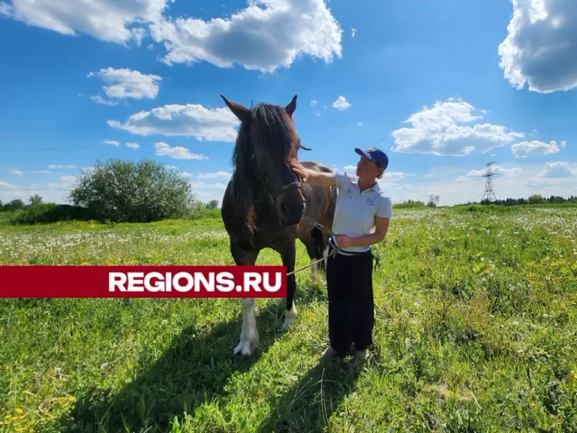 Сезон летних конных походов открыли в Онуфриево