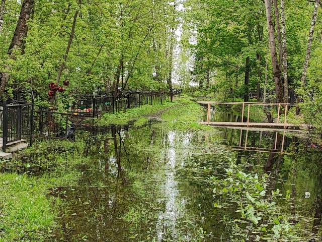 В Раменском затопило старое кладбище