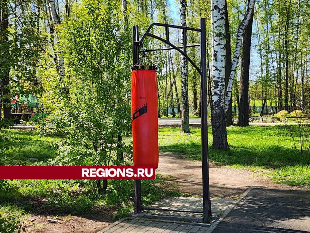 Новый спортивный инвентарь завезли в парк «Березовая роща» в Пушкино
