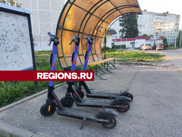 На чем прокатиться по Сергиеву Посаду: самокаты, велосипеды, сапы и лошади