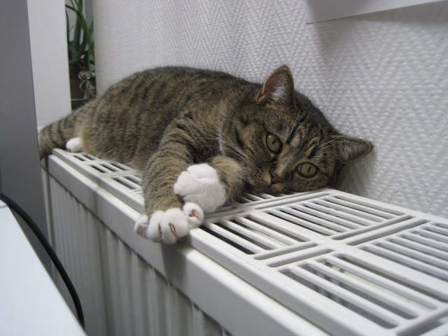 В домах жителей Солнечногорска постепенно отключают отопление