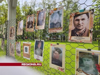 «Никто не забыт»: в усадьбе Кривякино открылась стена памяти, посвященная героям Великой Победы