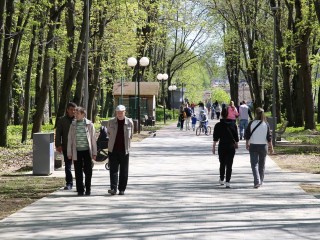 Парк Толстого вошел в число самых посещаемых зон отдыха в Подмосковье