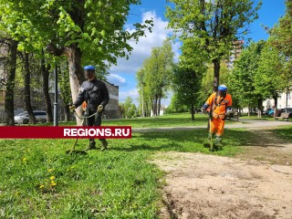 На придомовой территории на улице Химиков подстригли газон