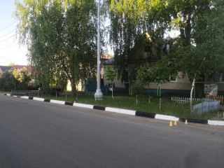 Серпухович покрасил бордюры у дороги вблизи своего дома