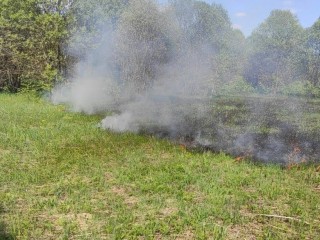В Егорьевске лесничие предотвратили пожар