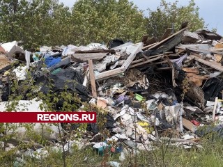 Химкинские полицейские задержали подозреваемых, которые нанесли ущерб экологии в деревне Черная Грязь