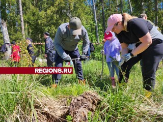 «Лес будущего» в Серпухове: волонтеры сажают лес для будущих поколений