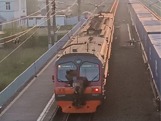 Зацеперов засекли на железной дороге под Солнечногорском