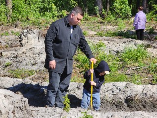 Более 10 тысяч сосен высадили в ходе акции «Лес Будущего» в Орехово-Зуеве