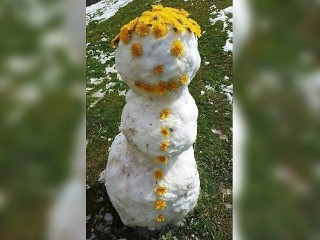 Очаровательного майского снеговика слепили в соседнем с Лыткарино округе