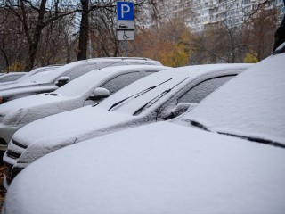 Ночью 7 мая в Москве выпал снег