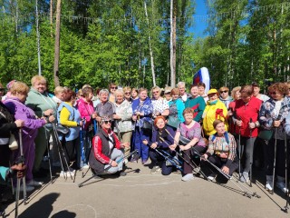 Шествие со скандинавскими палками устроили ногинчане в честь годовщины образования пионерского движения