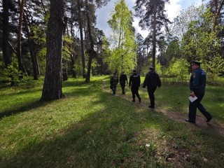Разведение костра в лесах округа может обойтись штрафом до двух млн. рублей