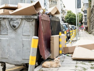В Талдомском округе обнаружено и убрано 7 стихийных строительных мусорных свалок