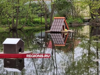 Для диких уток жители деревни Бородки соорудили и установили на пруду домики
