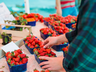 Клубничные места в Серебряных Прудах: где купить ягоду и как сэкономить