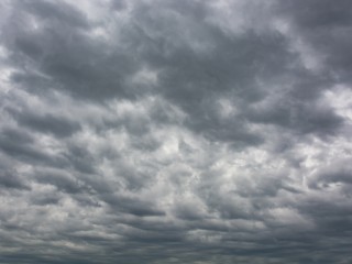 Облачная погода с небольшими дождями ждет жителей Лотошино на выходных