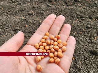 Аграрии в Серебряных Прудах приступили к засеву первых ста гектаров сои