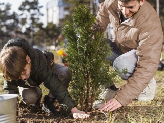 «Лес Будущего»: как и где в Истре посадить свою елку на экологической акции