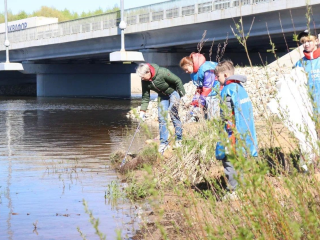Экоактивисты в Рузе собрали 27 кубометров отходов вдоль берега реки Вейны