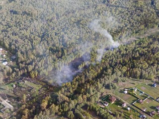 Небольшую вероятность пожаров спрогнозировали в лесах Пушкинского округа в ближайшие дни