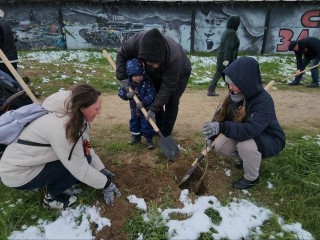 350 деревьев для нового парка в поселке Красково посадили в День Победы жители Люберец