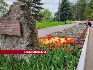 Ко Дню Победы у мемориала «Рубеж обороны» высадили три тысячи цветов