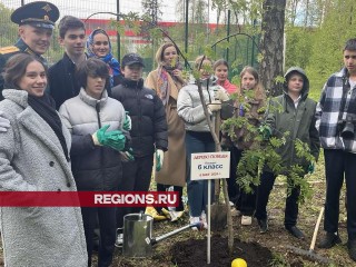 Участники военных конфликтов и учащиеся школы посадили деревья в деревне Зайцево