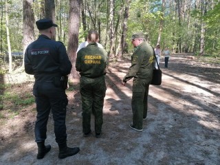 Более 300 патрулирований проведено лесной охраной по шашлычным местам