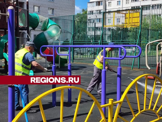 Более 60 игровых элементов обновили на детских площадках в Истре с начала мая