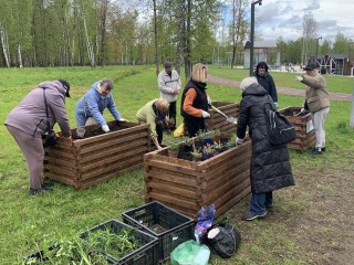 Долголеты посадили землянику, чеснок и лук в городском парке Ивантеевки