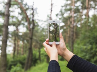 В щелковских лесах будет работать система обнаружения больших групп людей по мобильным телефонам
