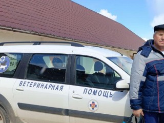Прирожденный ветеринар: ведущий врач из Дмитрова рассказал о своей работе