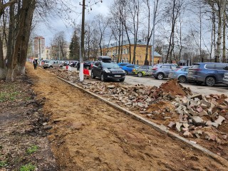 Утраченные из-за расширения дороги в Пушкино деревья компенсируют новыми