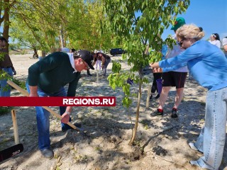 Народный артист РФ Семен Стругачев посадил дерево во время экологической акции в Серпухове