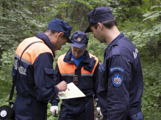Чеховские леса будут охранять при помощи сигналов сотовых вышек