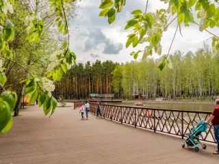 Парк «Елочки» вошел в ТОП-7 самых популярных парков Подмосковья