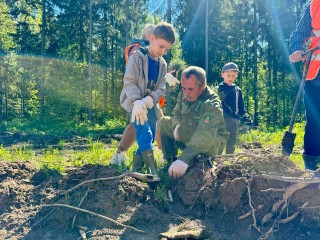 Лес будущего: честь героев Великой Отечественной войны посадили тысячи деревьев